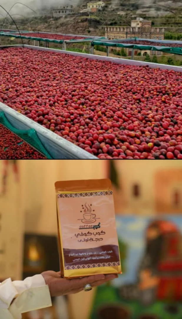 قهوه تركيه (بن يمني تحميص غامق ) 250g — كوب كوفي لاجود انواع البن اليمني